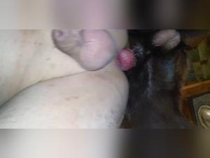 Deeper into the Forbidden World of Dog Cum