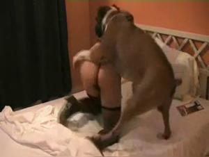 She lets herself be tempted, without conscience, by canine passion