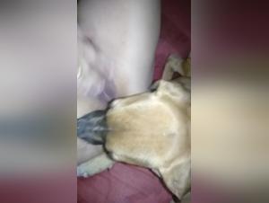 Hundefreuden und weiblicher Genuss