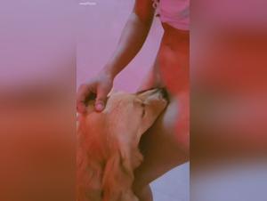 Denise Frazier & The Canine Realm