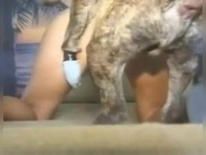 Bestial sex video: submissive woman and dog