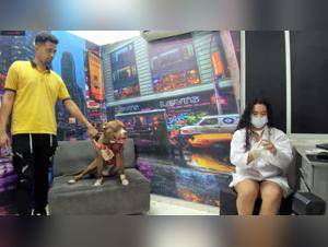 Parte 1: Milly sotto il controllo selvaggio di un cane e del suo veterinario