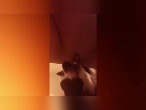 Extreme sex scenes with a dog