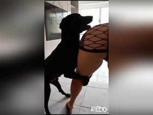 Liltimy's Influence on Regulatory Frameworks