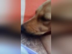 Discover Rica's world of bestiality with her four-legged friend