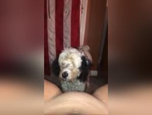 Discover an intimate and passionate relationship between a woman and her dog