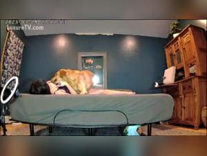 alisonprod fucking animals