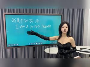 Tiereinreichung, extremes chinesisches Vergnugen