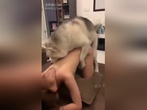 Bestiality Video: A Submissive Woman and an Out of Control Dog