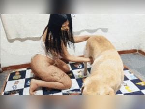 esplorazioni sensuali vietate con i cani