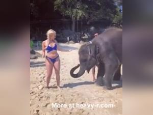 Ethische Grenzen bei der Erforschung von Tierporno