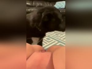 Bestiality sex video with a dog