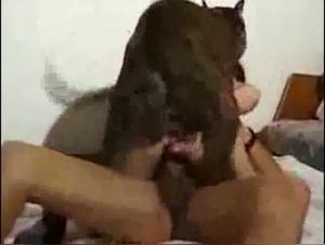 Dog Sex Video: An Extreme Experience