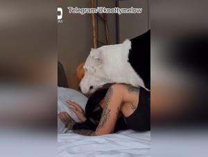 7 Rings, but with an Animal Twist: Hardcore Sex and Dominant Dog