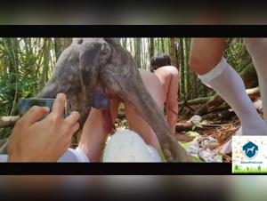 Zoophilia video with Latinas and dogs