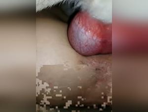 Discover the forbidden in this zoophilia video