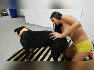 The Beastly Connection Between Zoo School and American Law