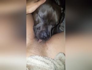 Sodomisée par son Chien, elle recherche ce contact animal sauvage