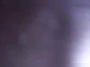 Dog sex video: hottie in white stockings