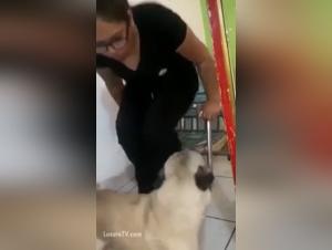 Extreme dog sex video