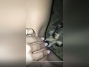 Sex with a Dog Video: An Extreme Experience