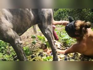Slave al sesso animale: rivelare sogni proibiti