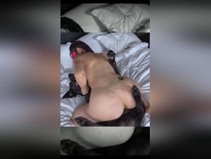 TikTok Hardcore svelato