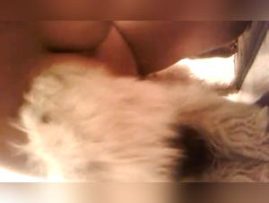 Canine exploration of a black woman's anus and pussy