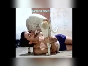 girls sucking dog cock