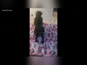 Discover the World of Bestiality