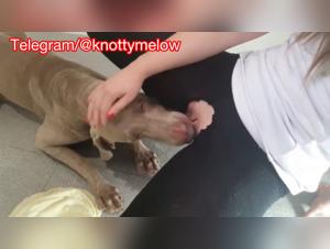 Liberare i Desideri: Pompini Amatoriali con Cani a Casa