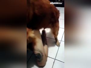 Exploring the Forbidden Realm