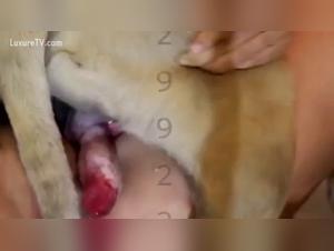 Première Offrande :  Une Salope au Pied du Chien