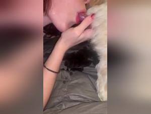 Die Wissenschaft hinter dem ficksicking-Hundes: Welche Verbindung besteht zwischen Kussen und Festgeklehmten Hunden ?