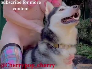 zoophile meaning and beastporn