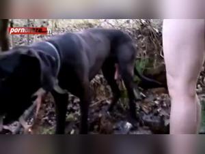 Extreme Bestiality - An Unforgettable Experience