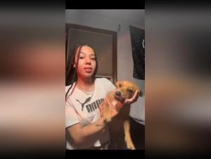 Dog sex videos: a woman and her four-legged companion