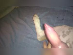 Discover the pleasures of bestiality and extreme sex