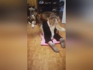 La puttana succhia il suo cane, garantita soddisfazione bestiale