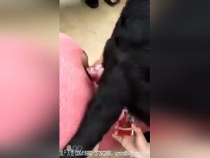 Check out this extreme dog sex scene