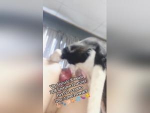 New Perspectives on a Twisted World