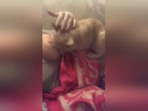 OnlyFans Zoo: Unleashing Desires