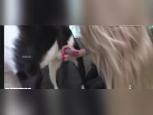 Leidenschaft verboten: Die Domina und ihr Hund in Aktion
