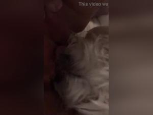 Discover a unique and intense bestiality sex video