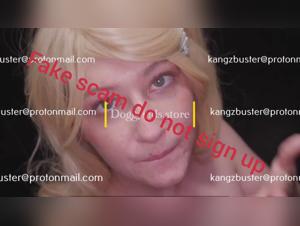 An Exciting and Borderline Experience with a Four-Legged Companion