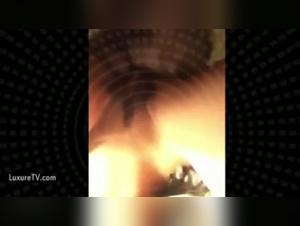 Bestiality sex videos: discover extreme dog sex