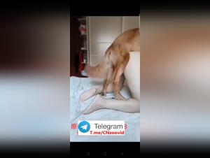 Verrat und dunkles Verlangen: Eine Frau, ein Hund und eine wilde Leidenschaft