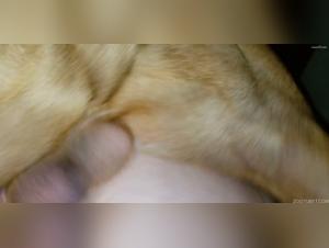 Animal Sex Content: Raw and Uncensored