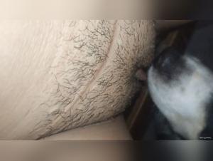 Exploraciones Prohibidas: Conexiones Insolitas