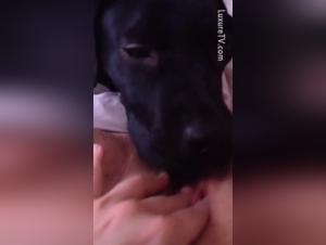 Watch a Girl and Her Dog in a Hard Sex Scene